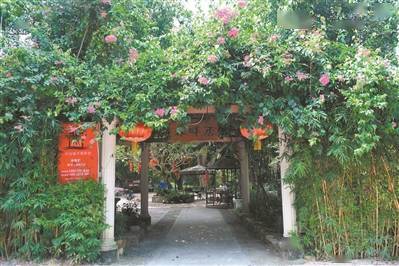 房前屋后打造"四小园"