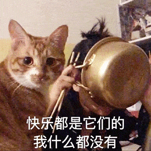 6f7e59df850744888ccbf8b5f78e9eed.gif