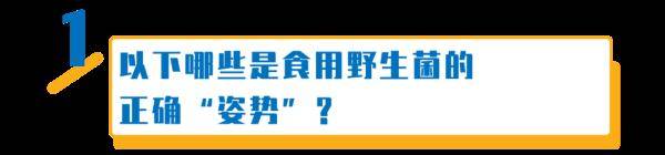 杨维涵|云南人吃菌等级考试