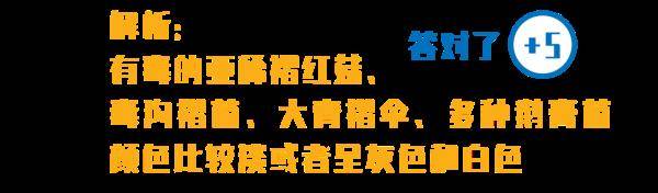 杨维涵|云南人吃菌等级考试