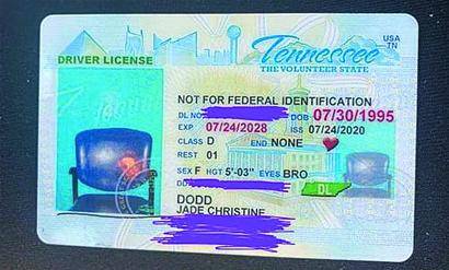 驾照|谷歌欲将手机变成地震警报器和监测器