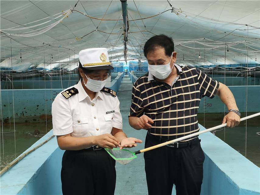 出口|因“疫”施策 青岛海关监管活水生动物出口整体复苏