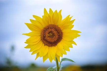 道理|几个简短的故事，道理很深！