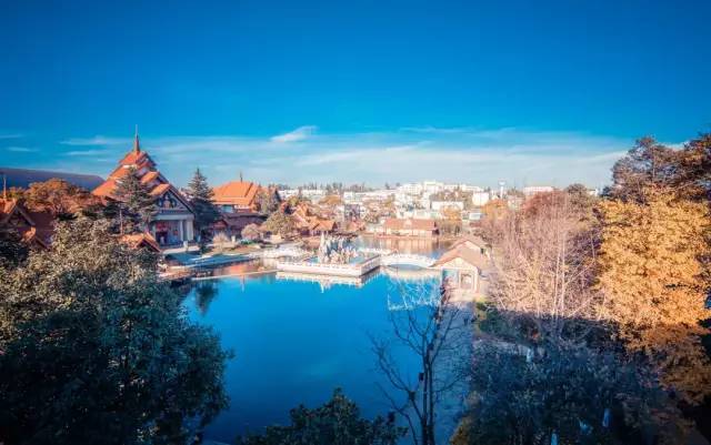 热带雨林|还好吃！【逛吃】西双版纳不仅美