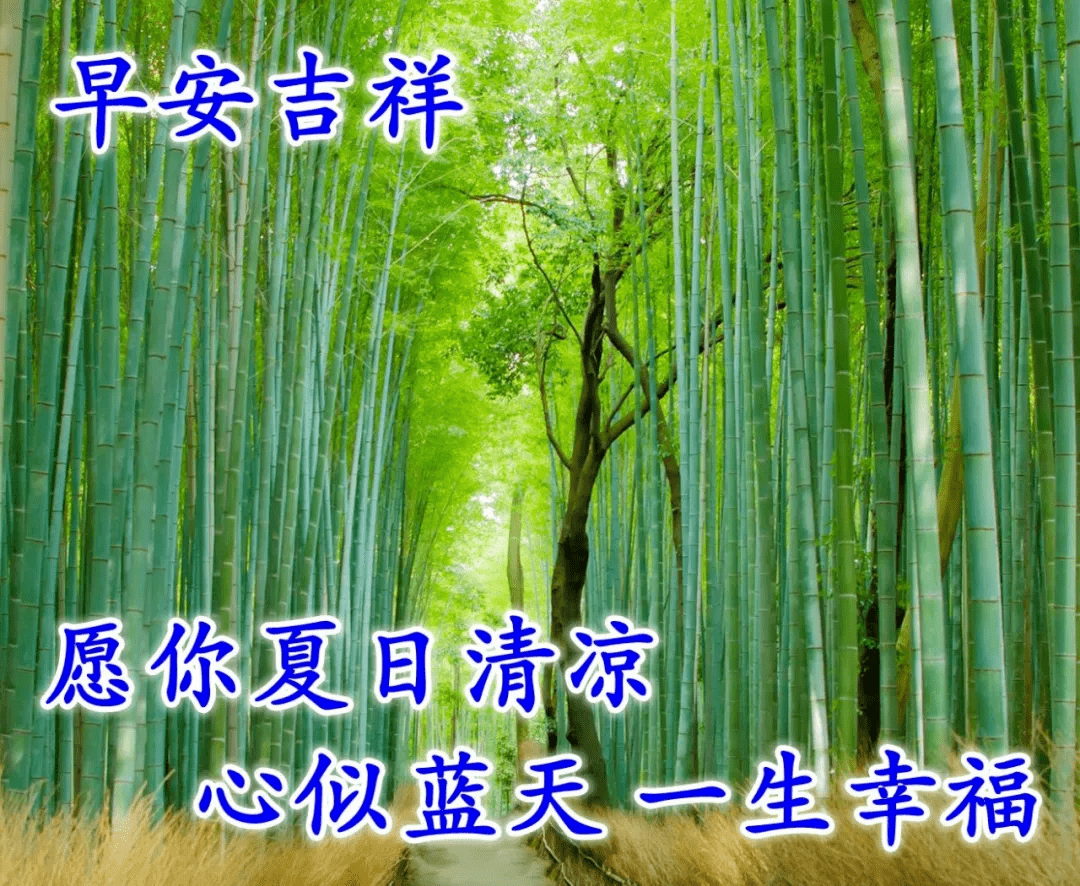 早上好问候语图片带字温馨11张最新的早晨祝福语图片大全