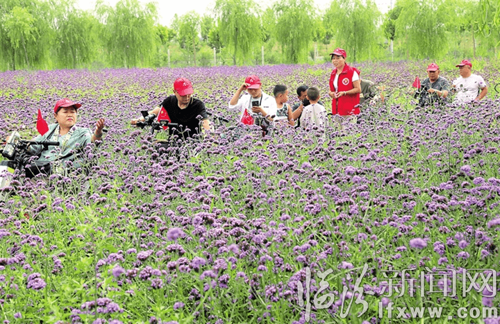 人口普查补贴发放对象_人口普查(2)