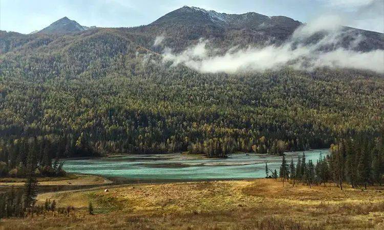 头发|大写的服！热巴居然连一根细小的发丝都不放过...