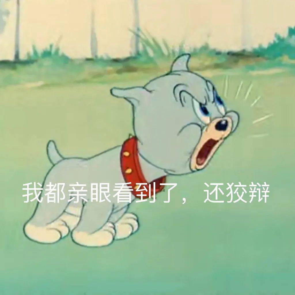 猫和老鼠表情包你果然在外面有别的狗了