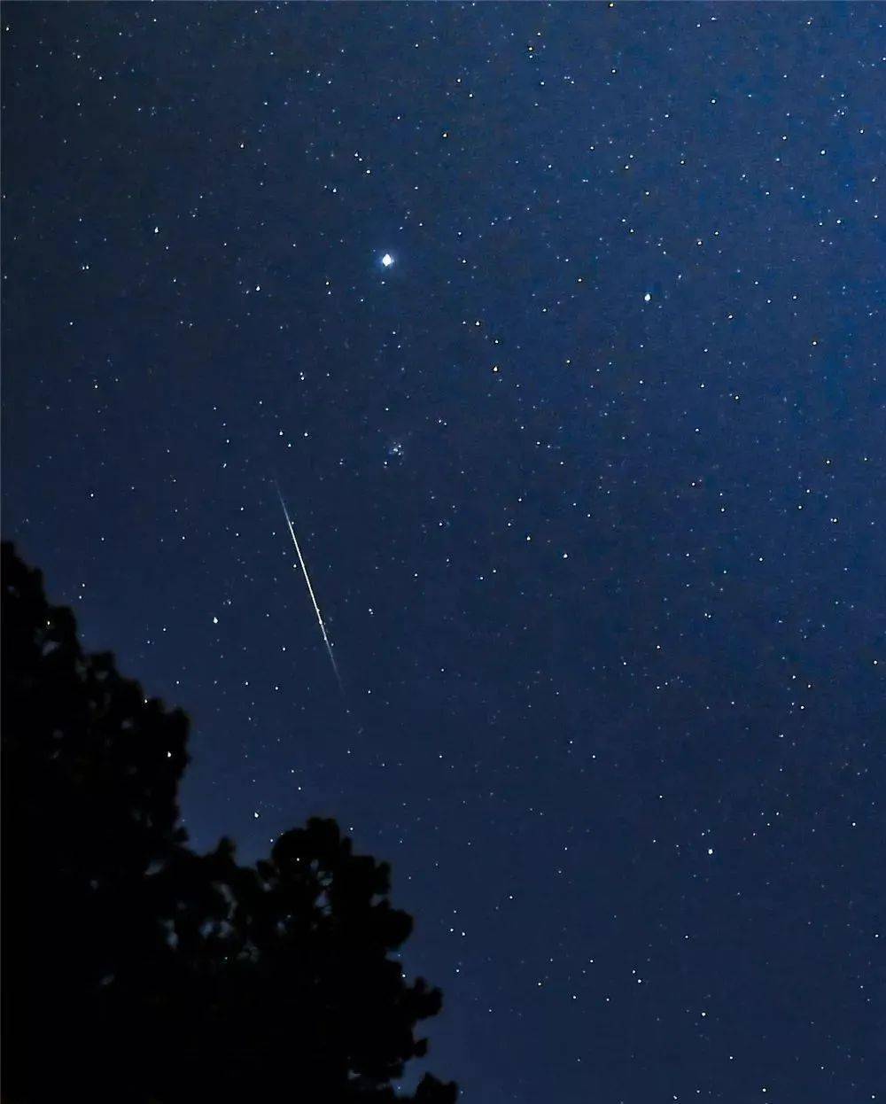 英仙座流星雨现身夜空!这个盛夏来石牛寨看浩瀚星海
