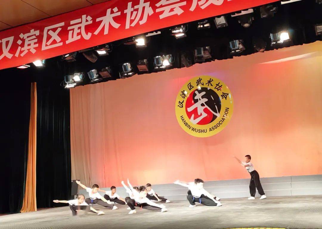 安康市汉滨区武术协会正式成立!