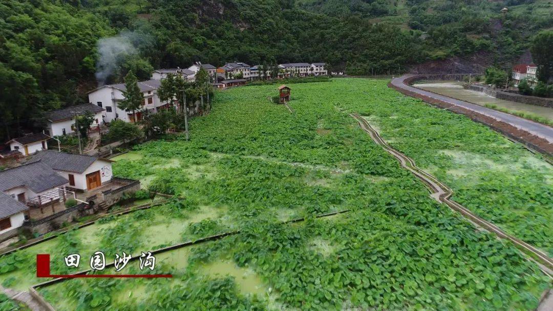 今天郧西关防见田园沙沟水乡音乐节临时交通管制的通告