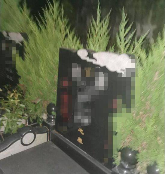 凌晨，男子误入山中被一大群野狗逼上绝路...崩