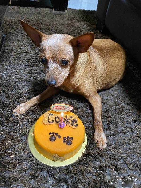 Best|原创还记得《北京欢迎你》里的阿杜吗？他现在长这样