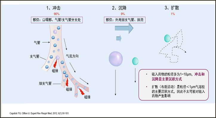 雾化吸入作用原理与适应症是什么_雾化治疗的作用是什么(2)