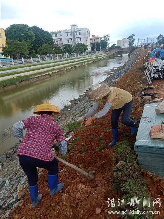 廉江营仔镇人口普查_廉江车板镇拖鞋(2)