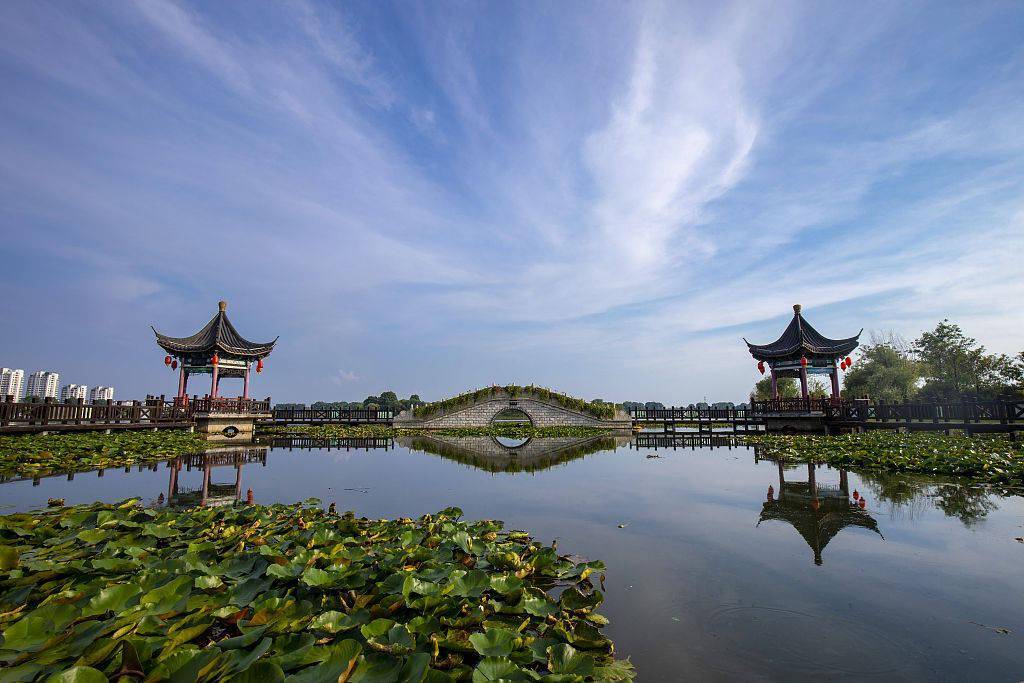2020年8月16日,江苏连云港,东海县西双湖湿地公园景色怡人.