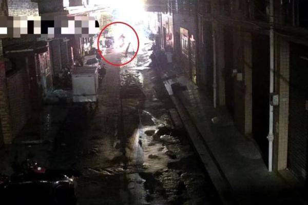 电瓶|作案时还带了两个“帮手”