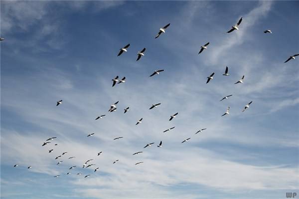 人生|励志人生：学会接受残缺，是人生的成熟