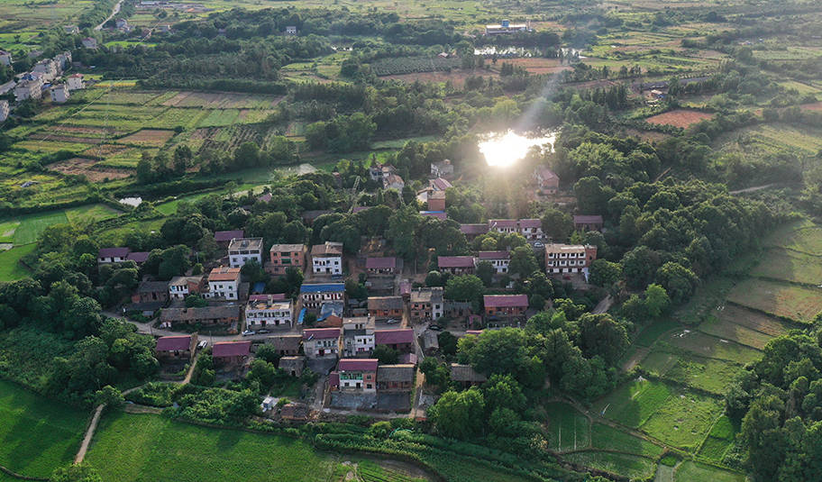 张健飞|张玉环案背后：一个村庄的26年