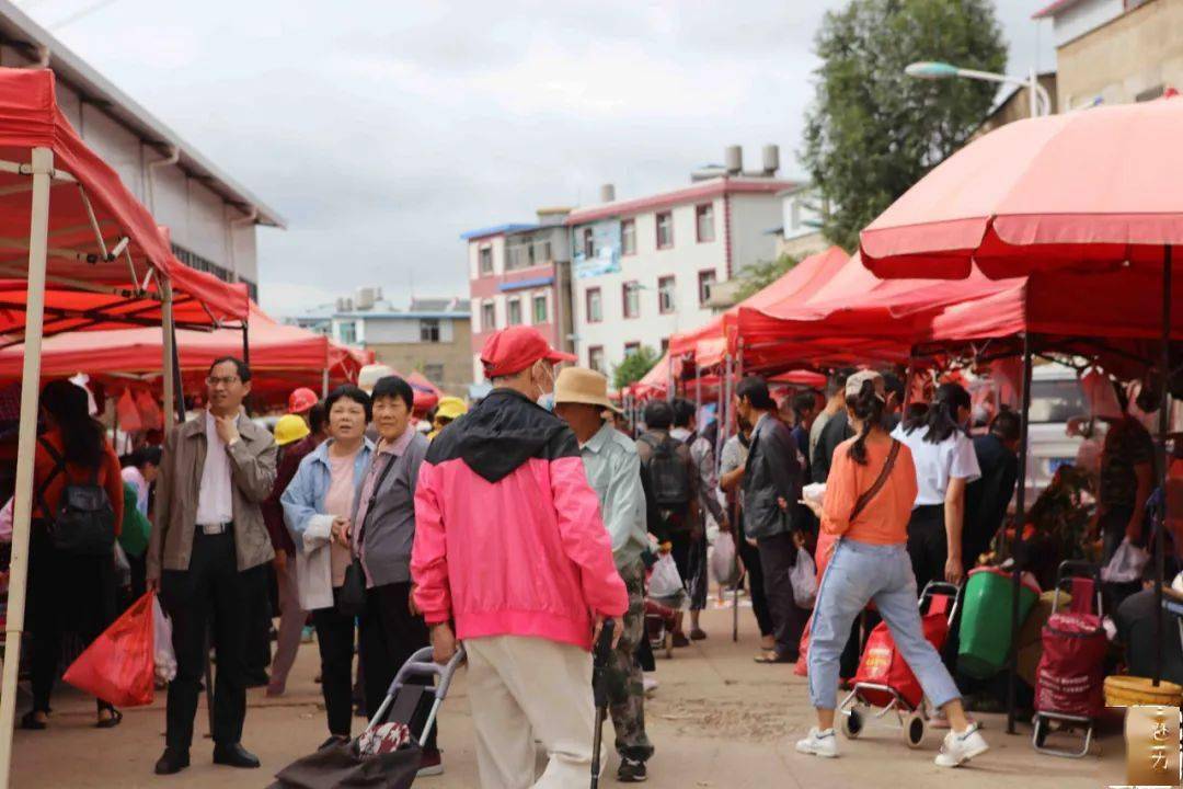 呈贡人口少_云南大学呈贡校区图片