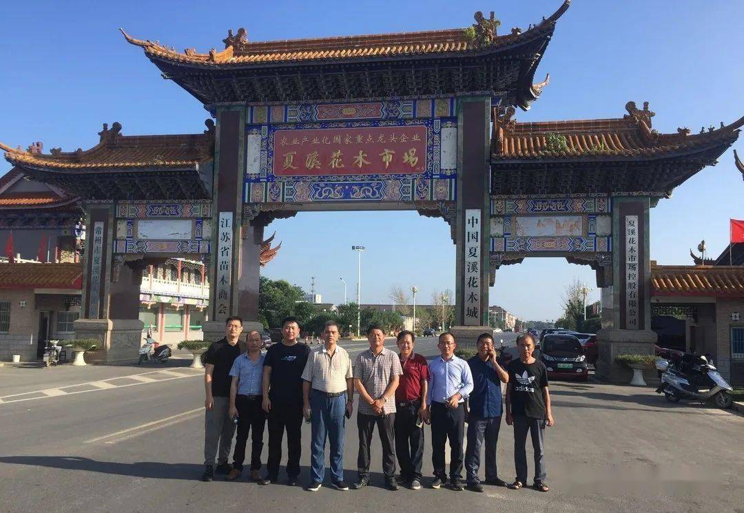 金华市园林花木行业联合会考察夏溪花木市场