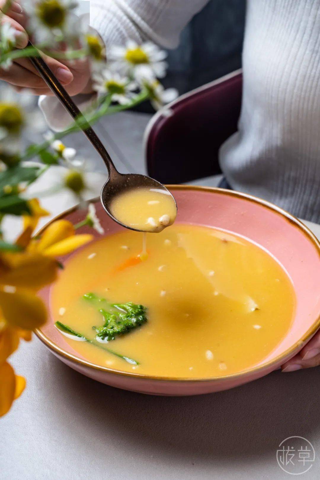 植物园|魔都也有了!帝都刷屏的“植物园餐厅”