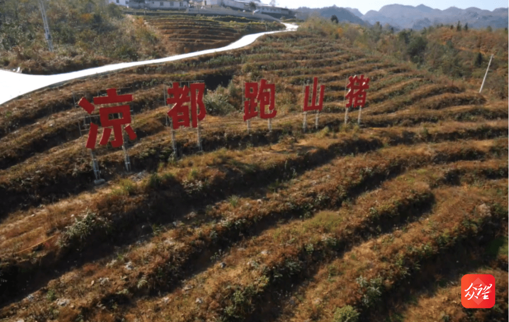 贵州六枝人口流出_贵州六枝特区白腊小学(2)