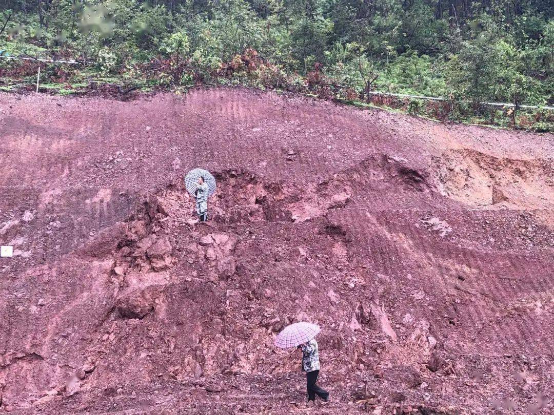 巍山乡镇人口_大理巍山照片