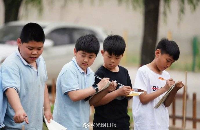 开心农场|学校里有个“开心农场”