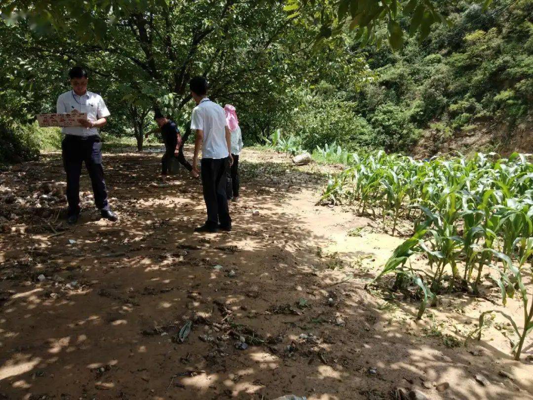 巍山牛街人口_大理巍山牛街乡王佐村