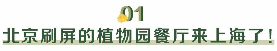 植物园|魔都也有了！帝都刷屏的“植物园餐厅”