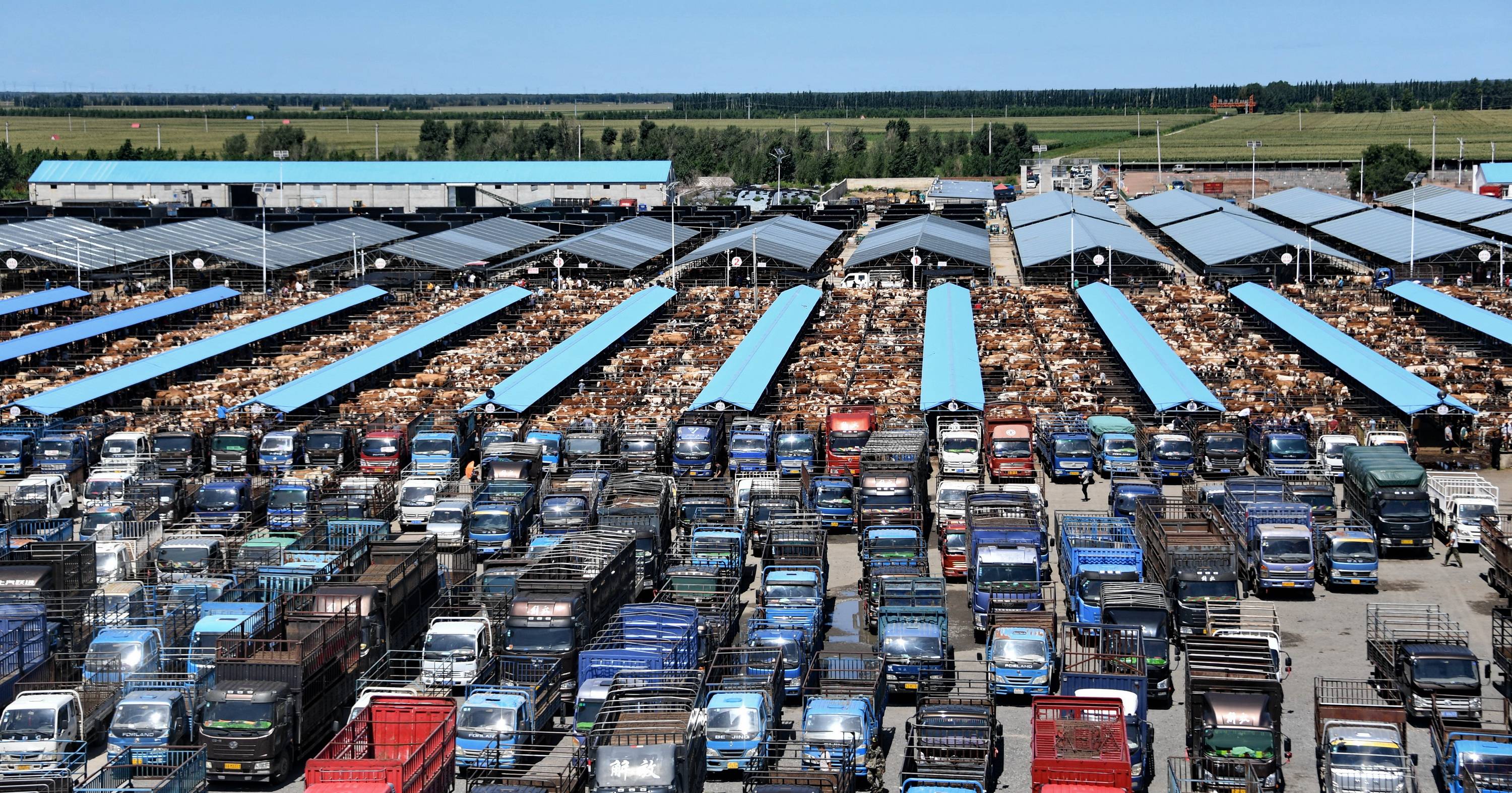 2020科左后旗人均GDP_近十年中国gdp数据图(2)