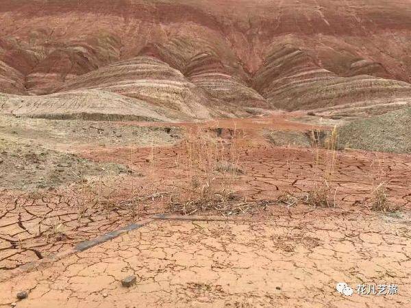 摄影|四川美术学院新媒体专业春季考察