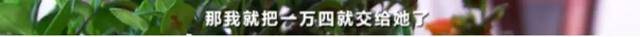 每粒|880元的微商减肥产品含禁药 每粒成本只有七八毛钱