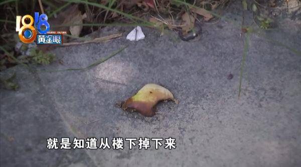 小区|刚刚甜瓜砸到人，又掉下一根一米多的管子，这个小区高空抛物竟成常态？