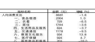泰安人均收入_泰安方特