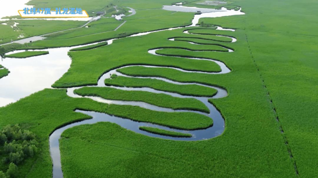 奶粉|看看咱们自己的飞鹤标准！新鲜在身边 | 飞鹤&中亿孕婴云溯源