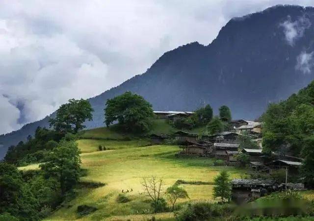 秋那桶61美不惊人死不休_怒江