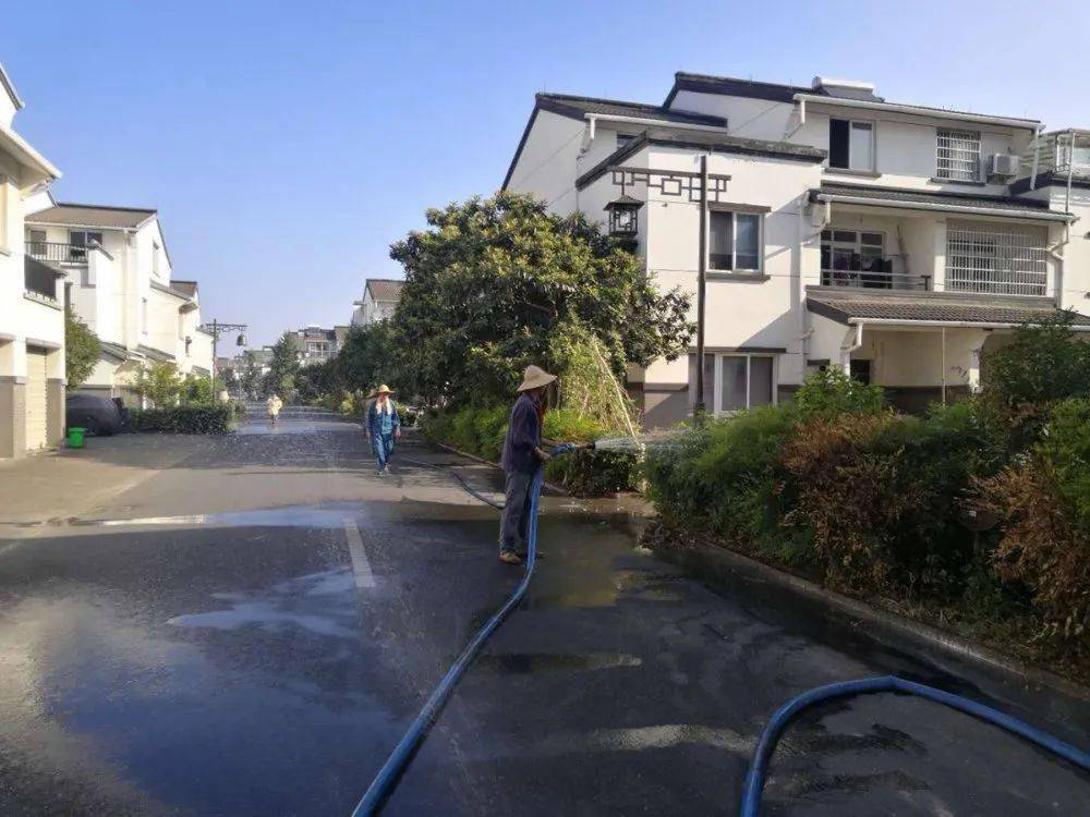 桃北新村△新河口村点滴改变在环境整治小组成员们忙碌的身影下