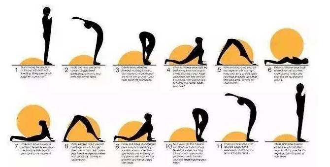 瑜伽最经典的拜日12式肌肉解析