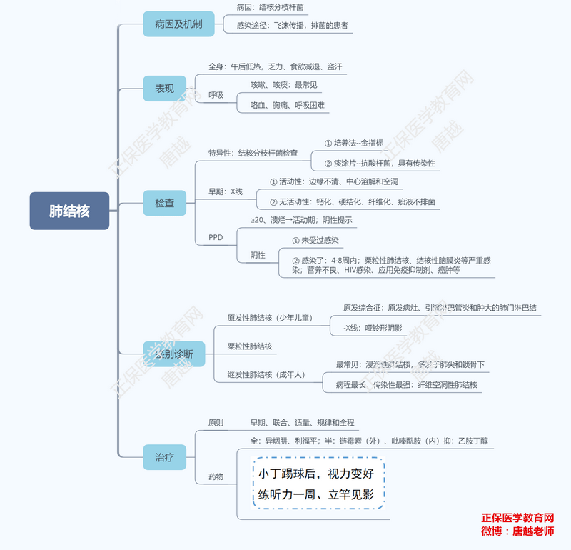 硬化,急性肾小球肾炎,消化性溃疡,胆石症,胃癌概述,临床胃癌学习思维