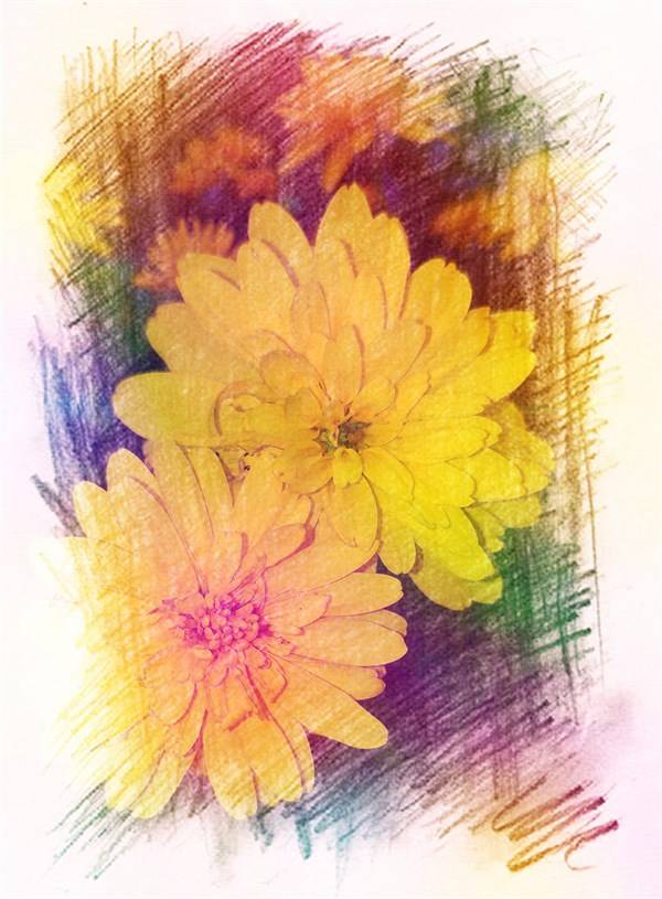 走过|走过的路，看过的风景，都是你的人生