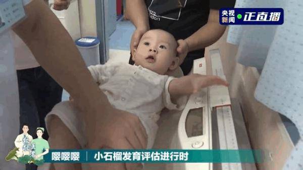 石榴|温暖又催泪的一天！小石榴与“亲人们”重逢了