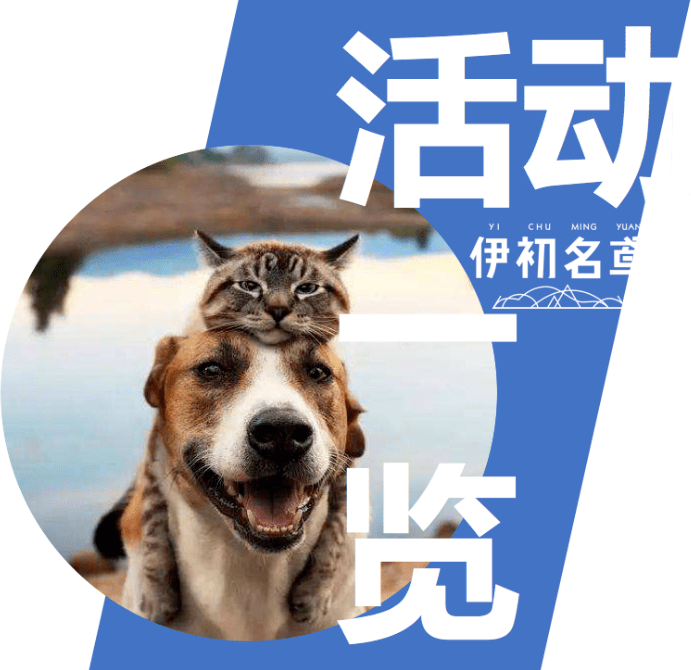 efd9d872799d407f9081269b14d5047e.png