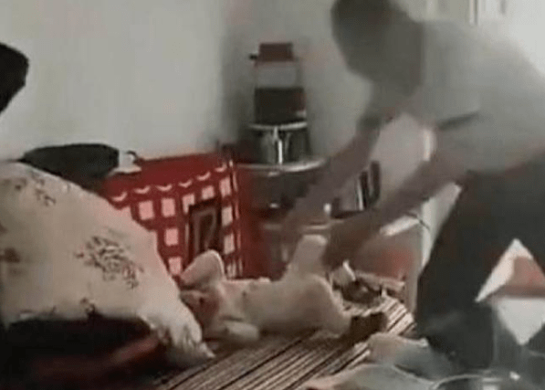 死亡|陕西男子7秒两次抱摔幼童致其不治死亡 律师：拍摄者如有意配合或构成共犯