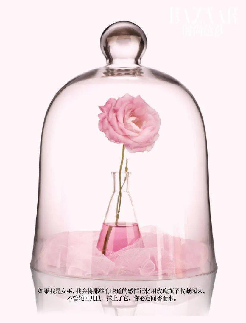 粉色|梦幻七夕，我和粉色香水有个约会！