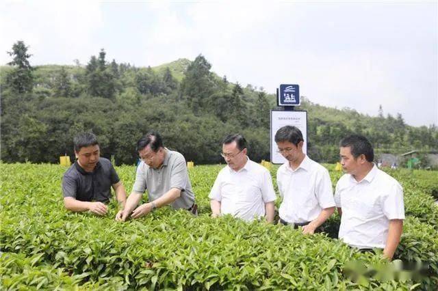 安化贫困人口_贫困山区的孩子图片