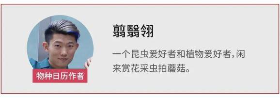 栽培|青稞酒和大麦茶，本是同根生