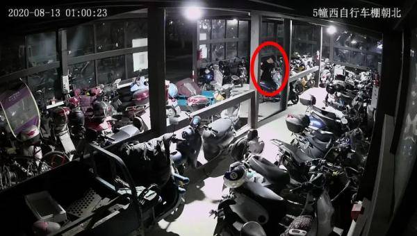 电瓶车|余杭一厨师下班后“兼职”干这事被抓，原因竟然是…