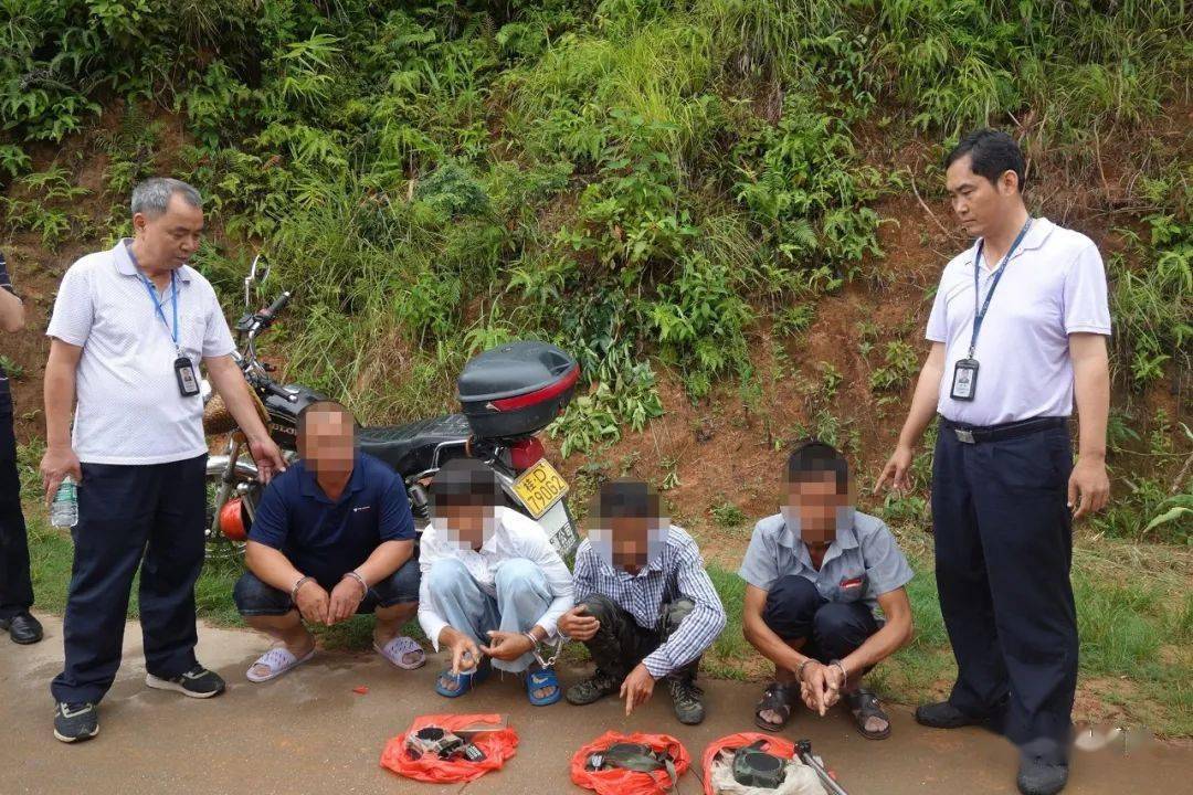 信宜四男子在村野捉鸟,结果被捕了